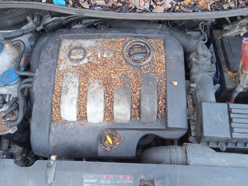 seat altea (5p1) del año 2005