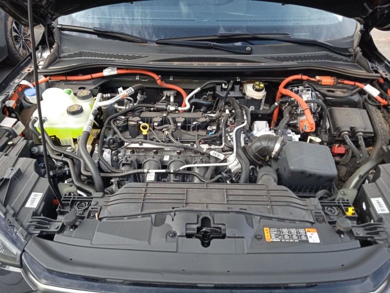 ford kuga iii (dfk) del año 2024