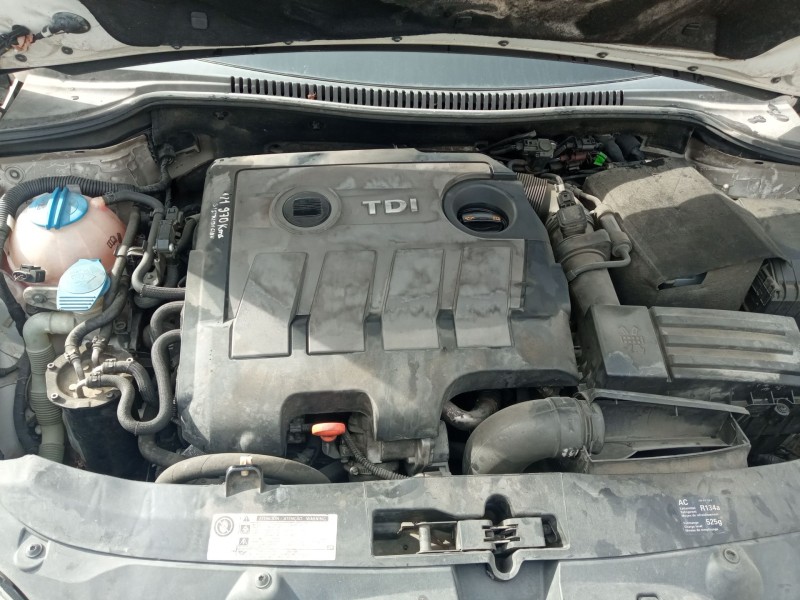 seat leon (1p1) del año 2010