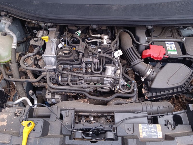 ford tourneo courier del año 2024