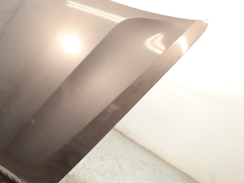 Recambio de capot para bmw x5 (e70) xdrive 40 d referencia OEM IAM 41617486754  