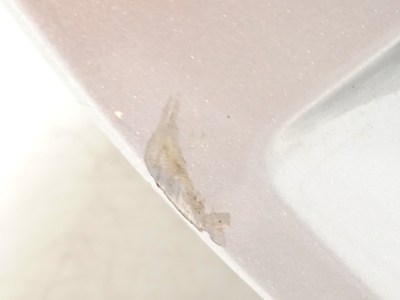 Recambio de llanta para seat leon (kl1, klg) 1.0 tsi mild hybrid referencia OEM IAM 5FA601025C 5FA601025C8Z8 