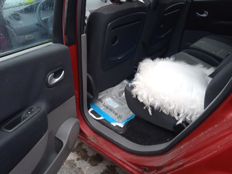 renault scénic ii (jm0/1_) del año 2004