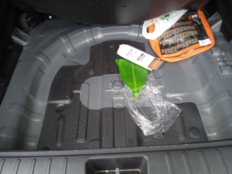 hyundai tucson (nx4e, nx4a) del año 2023