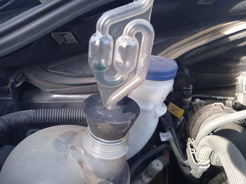 citroën c3 iii (sx) del año 2022