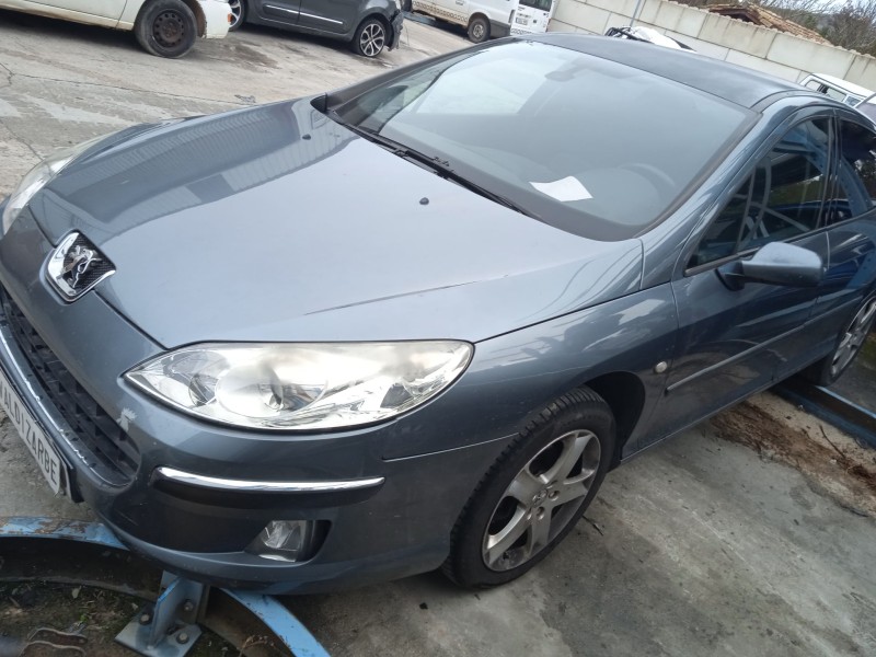 peugeot 407 (6d_) del año 2004