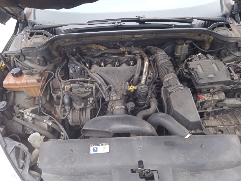 peugeot 407 (6d_) del año 2004