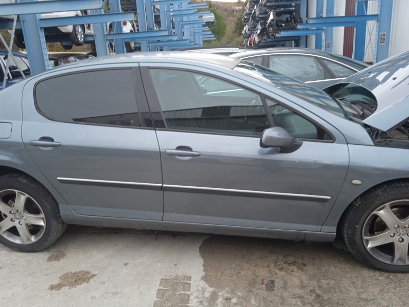 peugeot 407 (6d_) del año 2004
