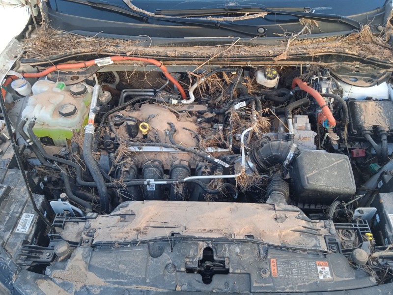 ford kuga iii (dfk) del año 2020