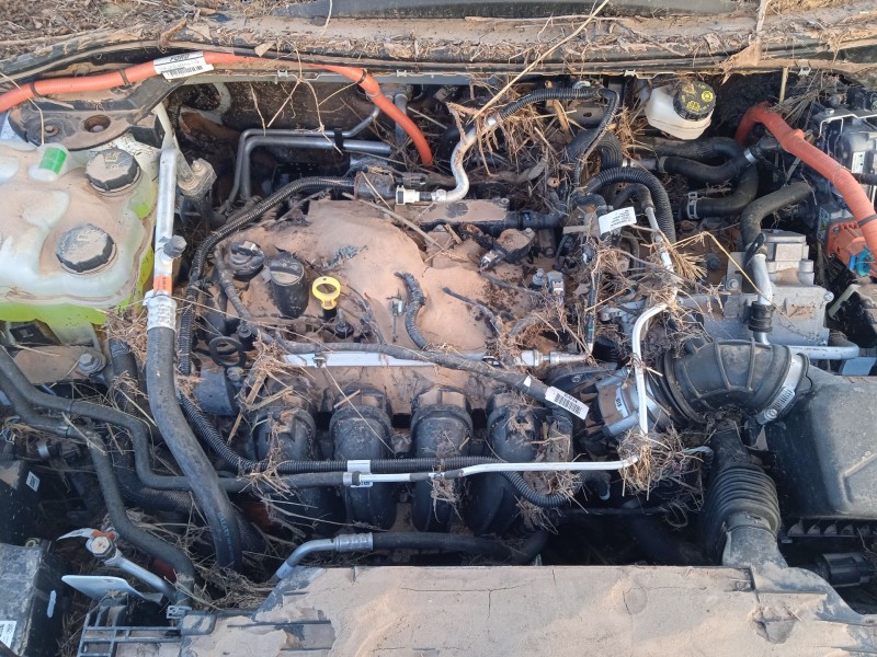 ford kuga iii (dfk) del año 2020