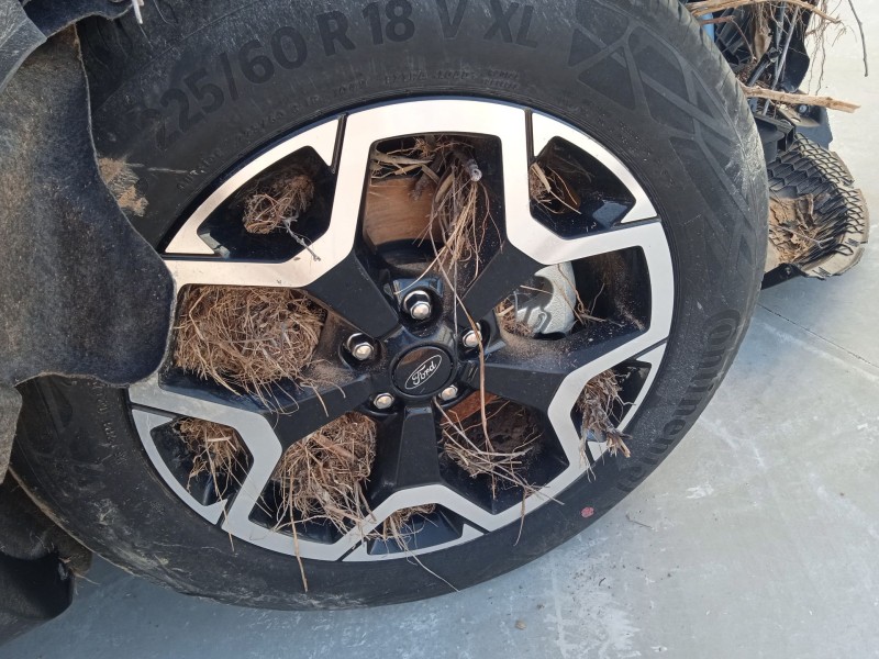 ford kuga iii (dfk) del año 2020