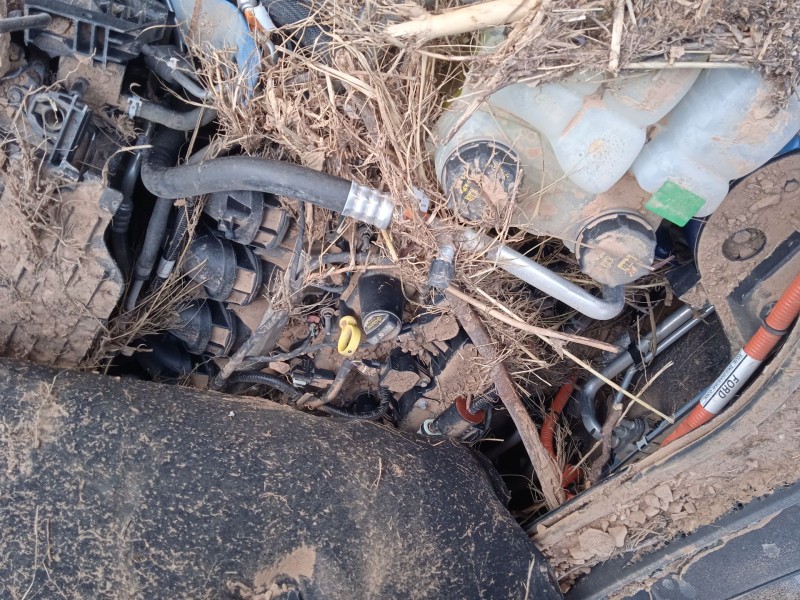 ford kuga iii (dfk) del año 2020