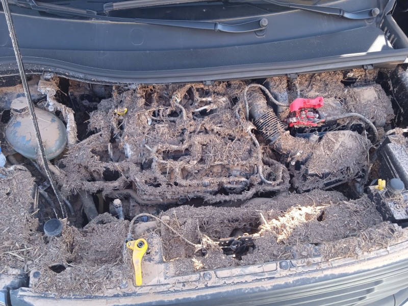 ford tourneo courier del año 2024