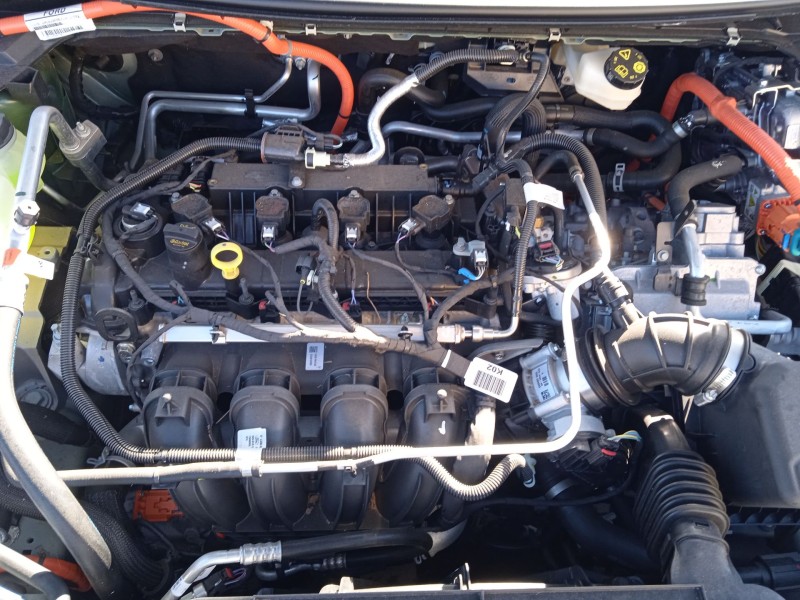 ford kuga iii (dfk) del año 2024