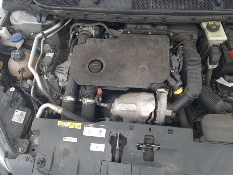 peugeot 308 ii (lb_, lp_, lw_, lh_, l3_) del año 2019