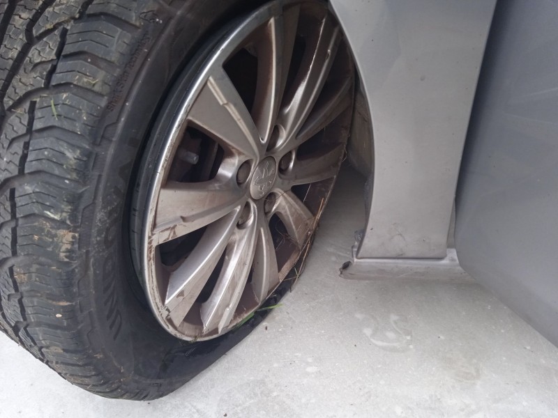 peugeot 308 ii (lb_, lp_, lw_, lh_, l3_) del año 2019