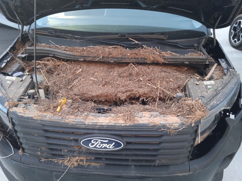 ford tourneo courier del año 2024