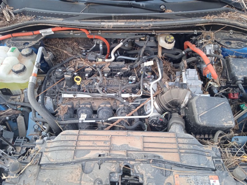 ford kuga iii (dfk) del año 2024