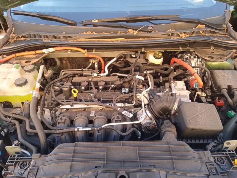 ford kuga iii (dfk) del año 2021