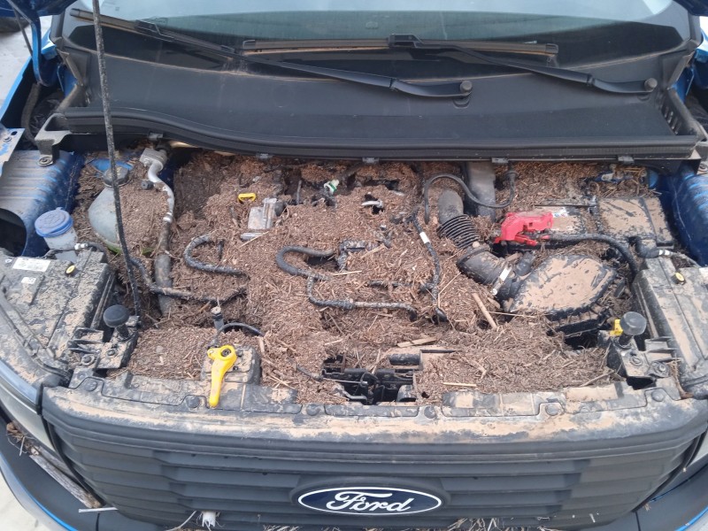 ford tourneo courier del año 2024