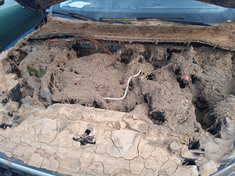 ford kuga iii (dfk) del año 2019