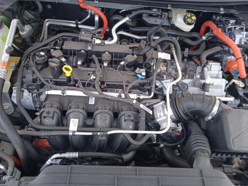 ford kuga iii (dfk) del año 2019