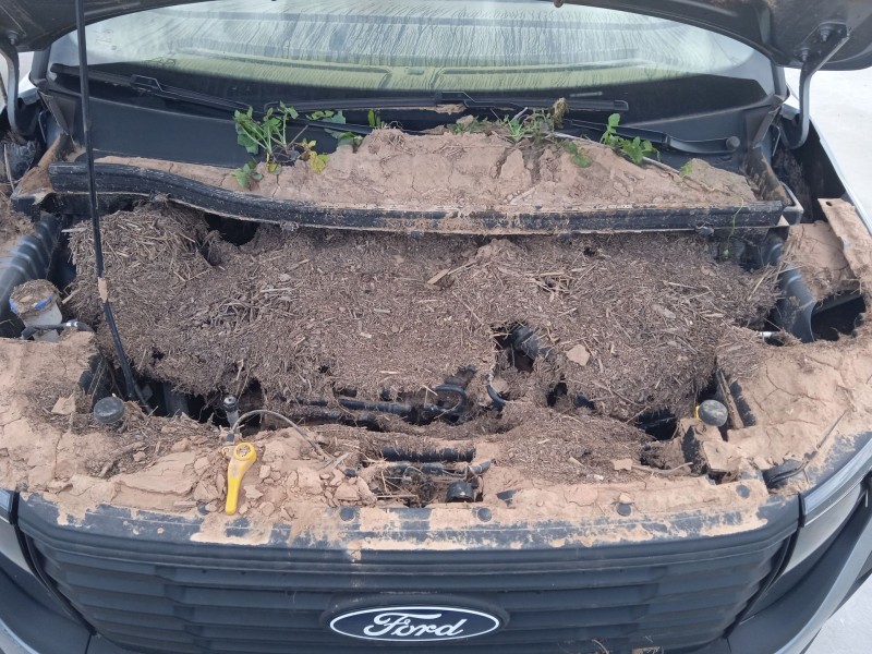 ford tourneo courier del año 2024