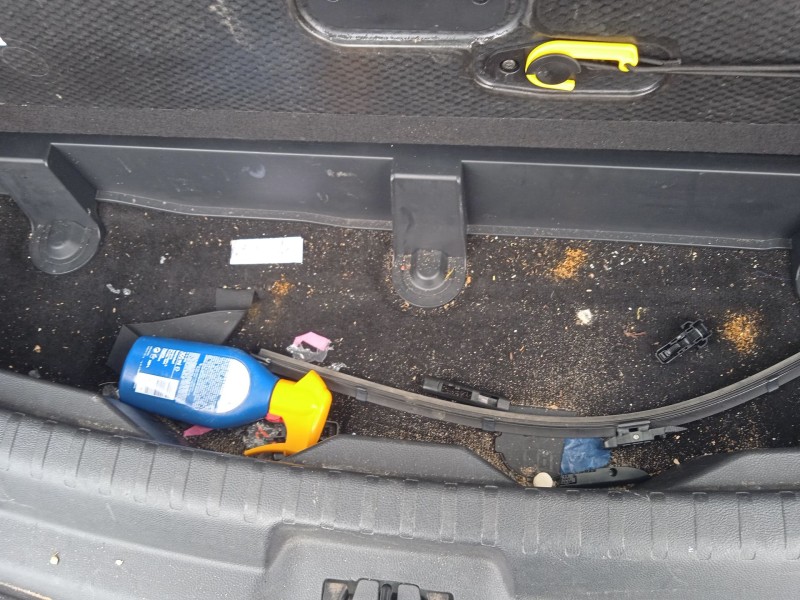 ford s-max (cj, wa6) del año 2015