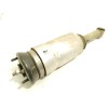 Recambio de amortiguador delantero izquierdo para land rover range rover sport i (l320) 2.7 d 4x4 referencia OEM IAM RNB501470 5