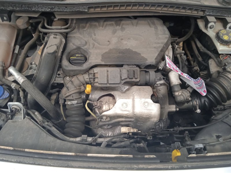 ford transit connect v408 furgoneta/monovolumen del año 2019