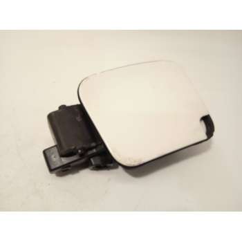 TAPA EXTERIOR COMBUSTIBLE 9808725080 
