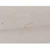 Recambio de puerta trasera derecha para seat altea xl (5p5, 5p8) 2.0 tdi 4x4 referencia OEM IAM 5P8833056  