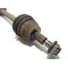 Recambio de transmision delantera derecha para ford focus lim. (cb8) trend referencia OEM IAM BV613B436UB  1777139