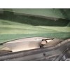 Recambio de puerta delantera izquierda para audi a4 cabrio (8h) 2.5 tdi referencia OEM IAM 8H0831051D  