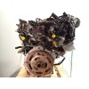 Recambio de motor completo para audi a4 berlina (8w2) 2.0 16v tdi referencia OEM IAM DEU DEUA 