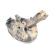 Recambio de mangueta delantera derecha para volkswagen t6.1 caravelle (sh) referencia OEM IAM 7H0407258G  7H0498611