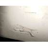 Recambio de paragolpes trasero para volvo s40 ii (544) 2.4 referencia OEM IAM 39994733  