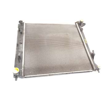 RADIADOR AGUA 253102Y000 
