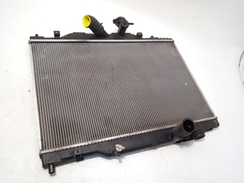 RADIADOR AGUA S55215200D 223004922