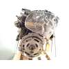 Recambio de motor completo para audi a5 coupe (f53) 2.0 16v tfsi referencia OEM IAM DLV  