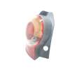Recambio de piloto trasero izquierdo para renault modus confort dynamique referencia OEM IAM 8200212205  