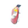 Recambio de piloto trasero derecho para renault modus confort dynamique referencia OEM IAM 8200212204  