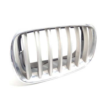 REJILLA DELANTERA 51317157687 51137171395 51137185223