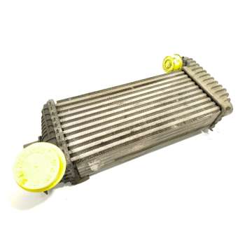 INTERCOOLER BV619L440CJ 2027395 