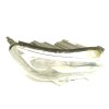 Recambio de faro derecho para peugeot expert combi standard referencia OEM IAM 9808572580  