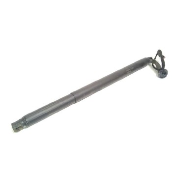 AMORTIGUADORES MALETERO / PORTON 31455984 