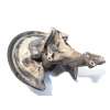 Recambio de mangueta trasera derecha para volkswagen passat lim. (362) 2.0 tdi referencia OEM IAM 3C0505434 K  