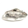 Recambio de faro izquierdo para audi a4 b7 avant (8ed) 2.0 tdi quattro referencia OEM IAM 8E0941003BK  0301219203
