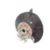 Recambio de mangueta delantera izquierda para honda civic lim.4 (fc) 1.0 referencia OEM IAM NOREF  