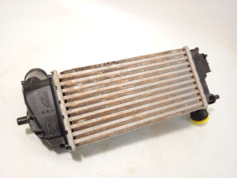 Recambio de intercooler para ford tourneo courier 1.0 ecoboost referencia OEM IAM L1BG6D624AB 2524812 - Gris 3